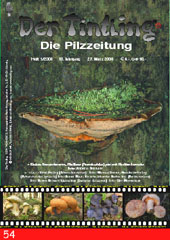 Umschlag Tintling 54