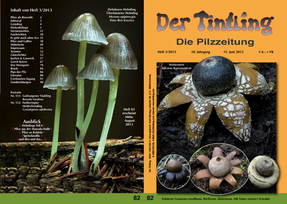Umschlag und Rückseite von Tintling 82