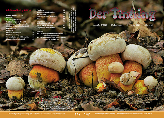 Umschlag und Rckseite von Tintling 85